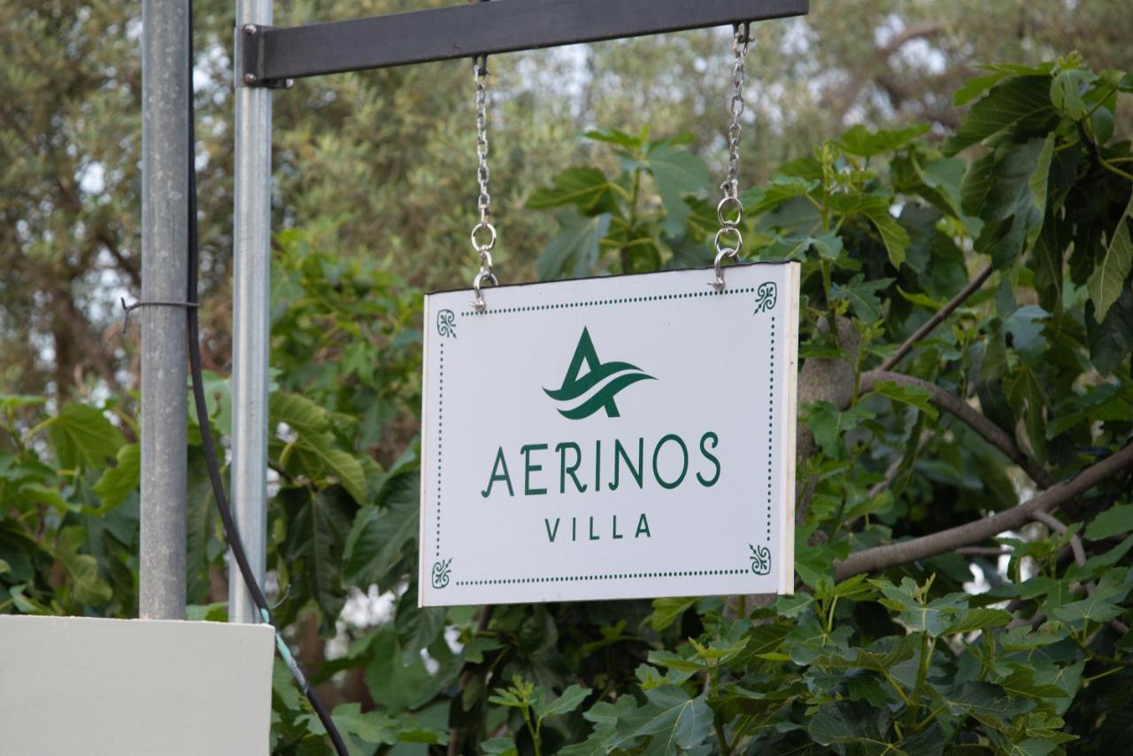Aerinos Private Villa Lefkada City Bagian luar foto