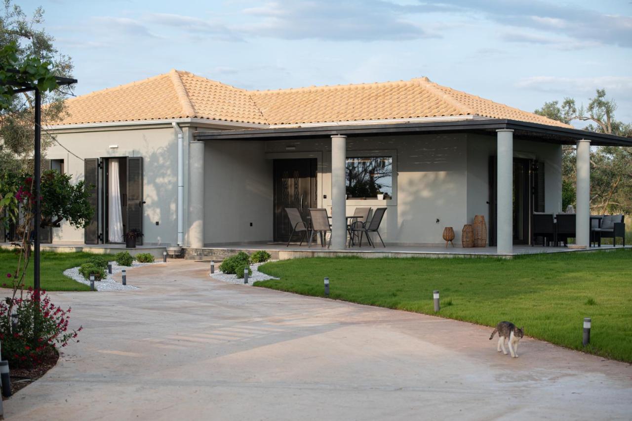 Aerinos Private Villa Lefkada City Bagian luar foto