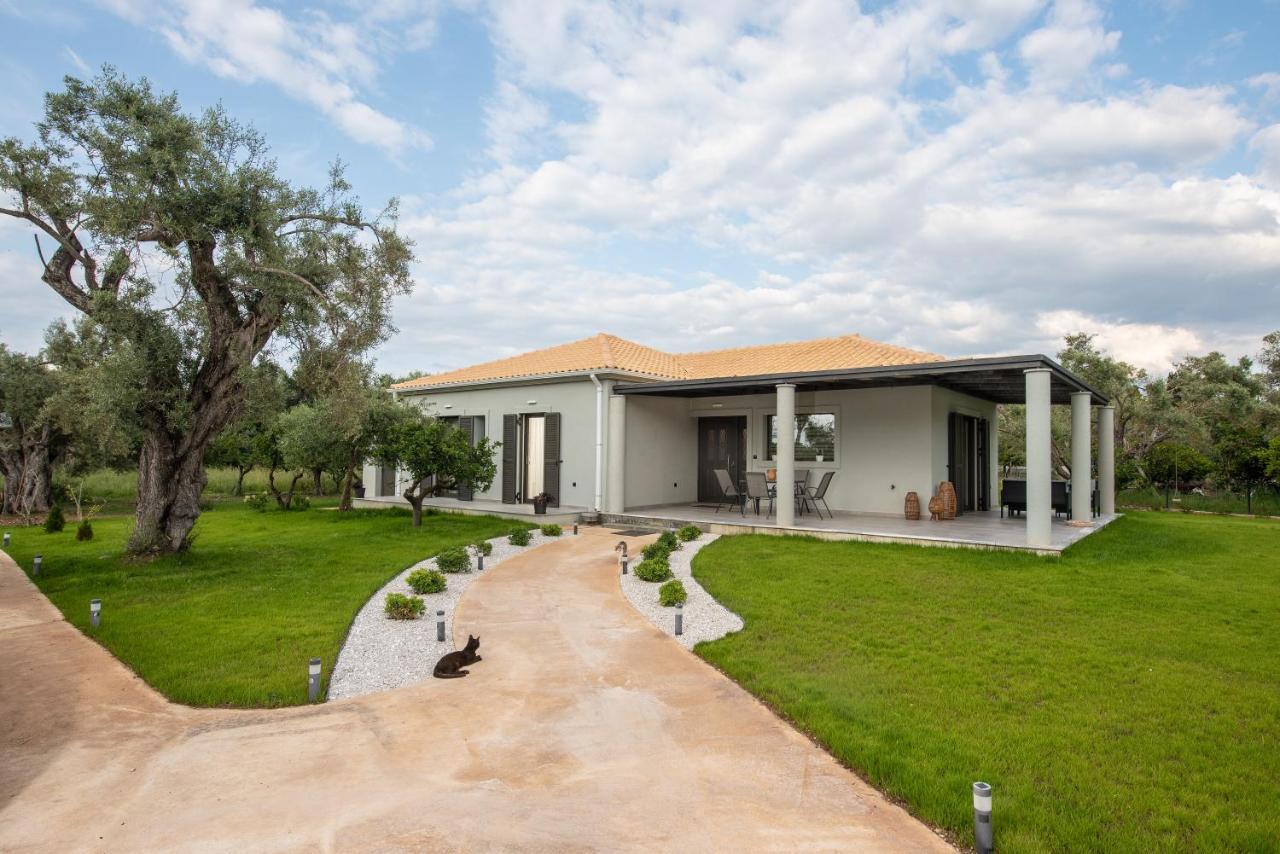Aerinos Private Villa Lefkada City Bagian luar foto